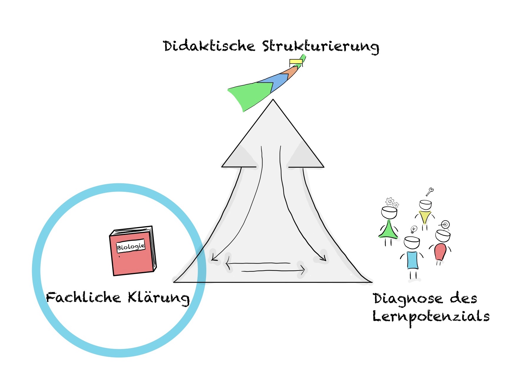 Abb. 3: Fachliche Klärung (verändert nach Kattmann et al., 1997).