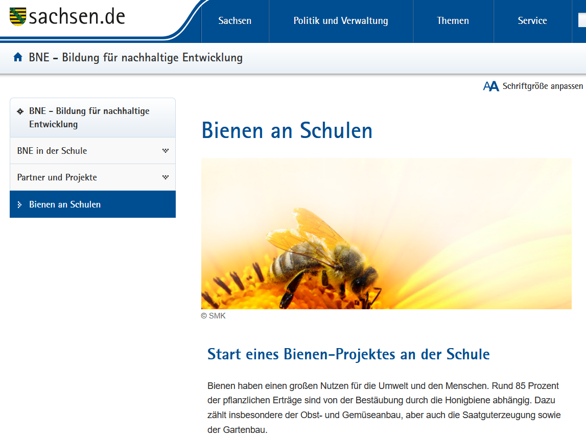 Bienen an Schulen sachsen.de